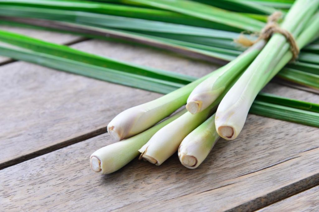 lemongrass-on-a-wooden-background environment day