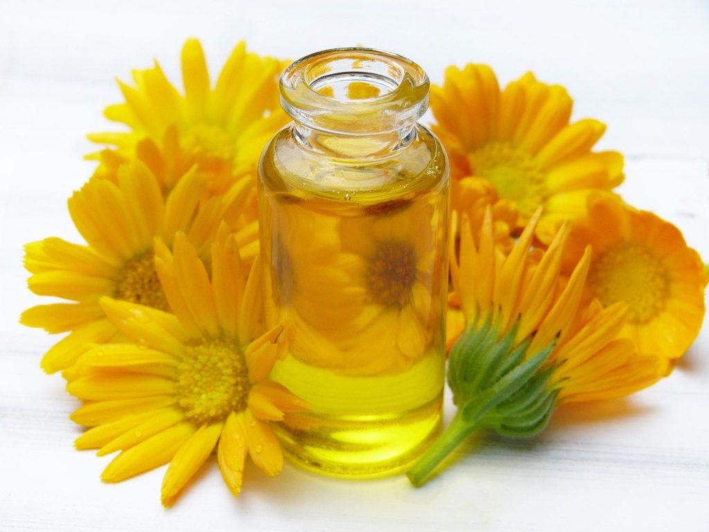 Marigold oil medicinal plants to grow at home environment day theme