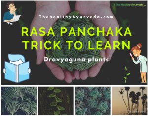 Read more about the article Rasa panchaka trick dravya guna plants