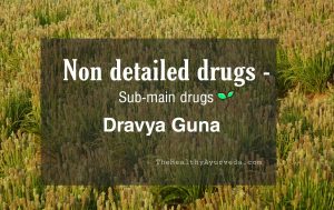 Read more about the article Non detailed drugs -Sub main drugs – dravya guna vigyāna